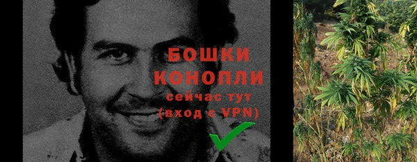не бодяженный Осташков