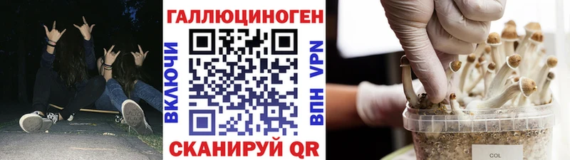 Галлюциногенные грибы ЛСД  Купить где  Котово 